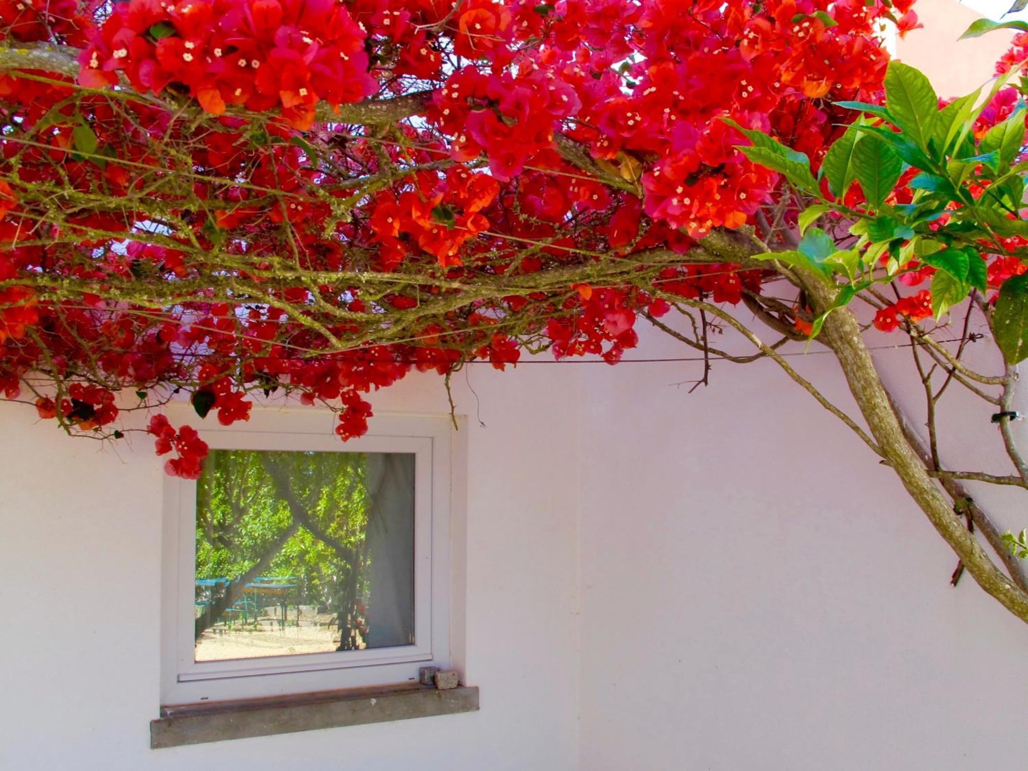Seaya Villas Κασκαΐς Δωμάτιο φωτογραφία